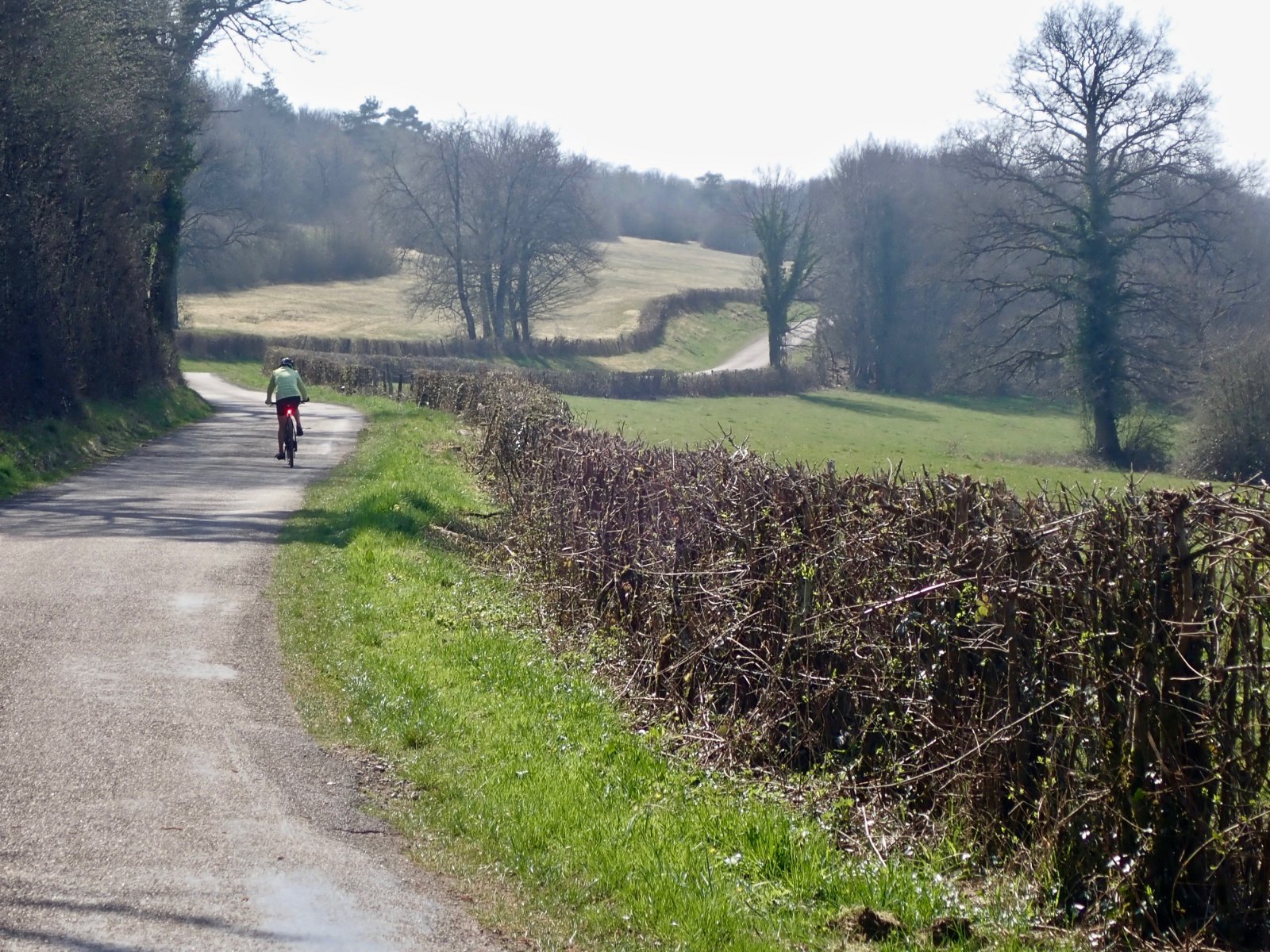 le bocage Haut-Saônois (1).jpg