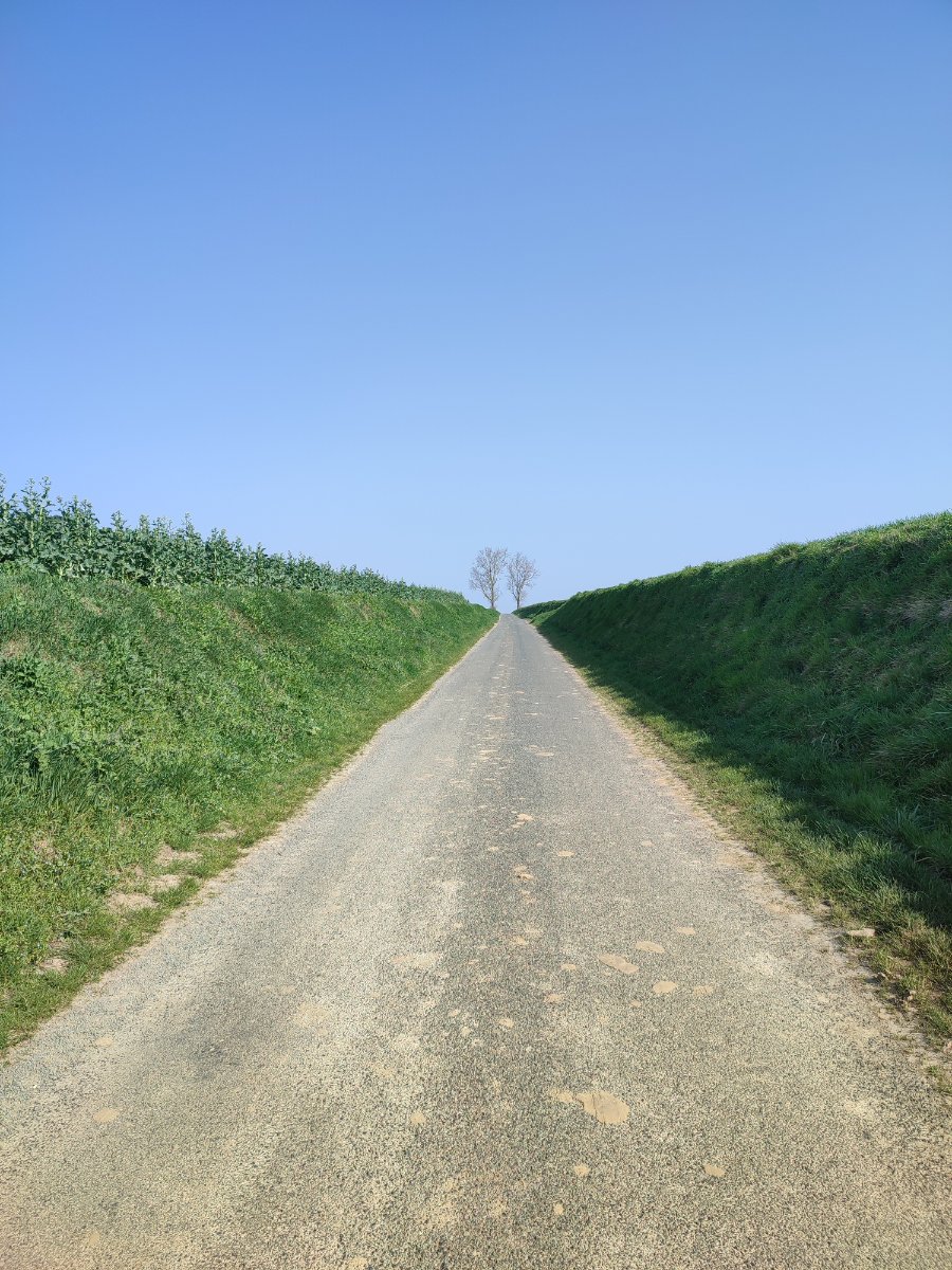 Les arbres marquent le sommet de la butte.