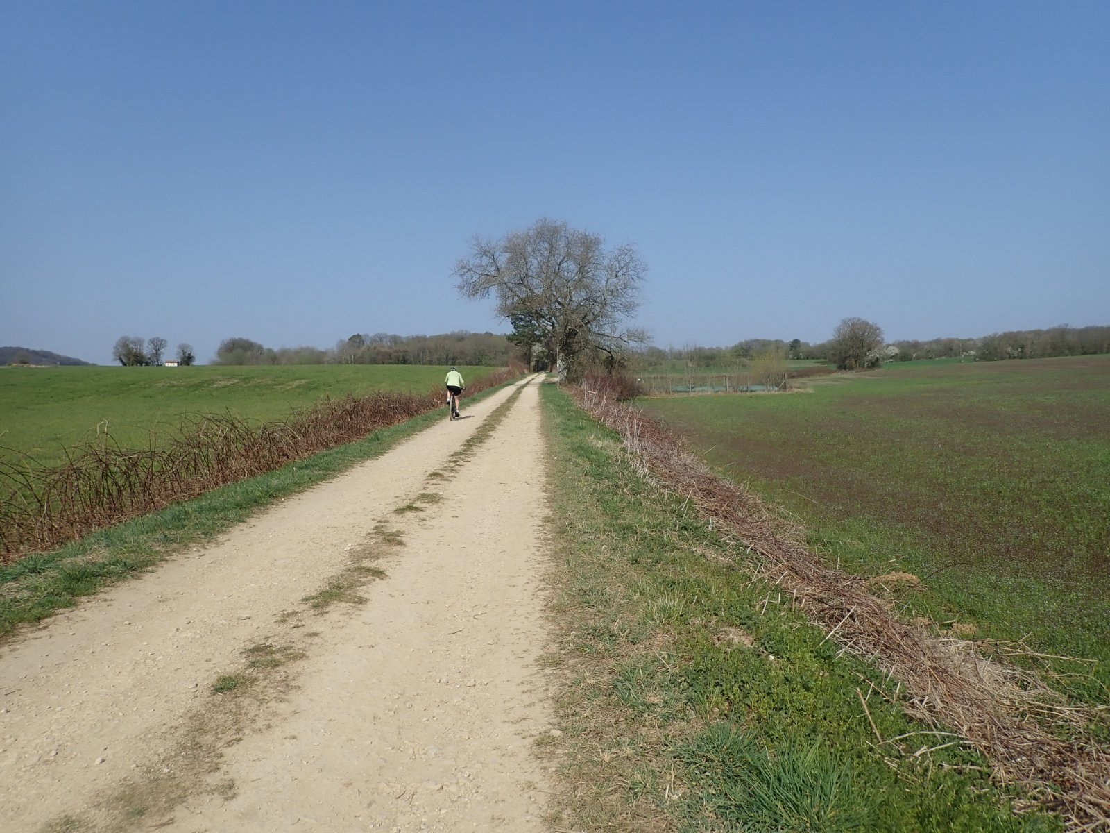 la voie du tacot Besançon-Vesoul.jpg