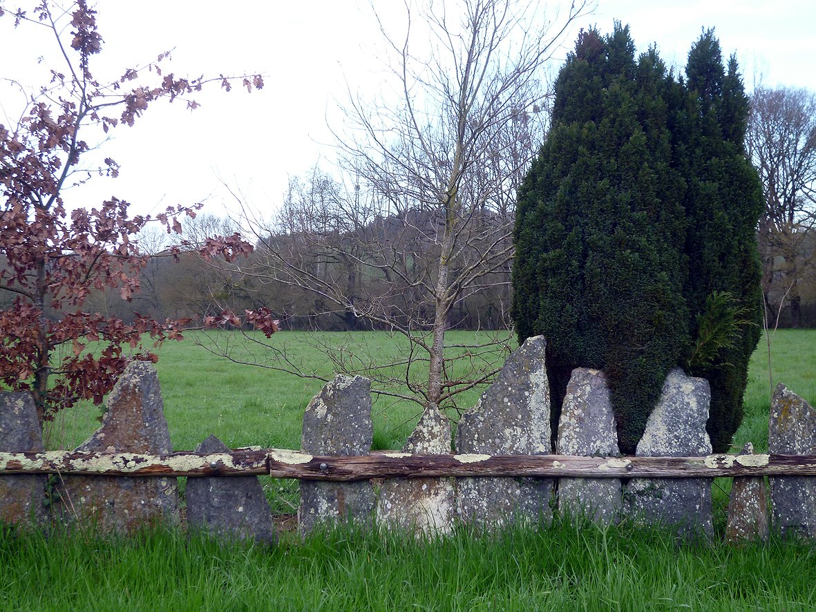 P1090296.jpg