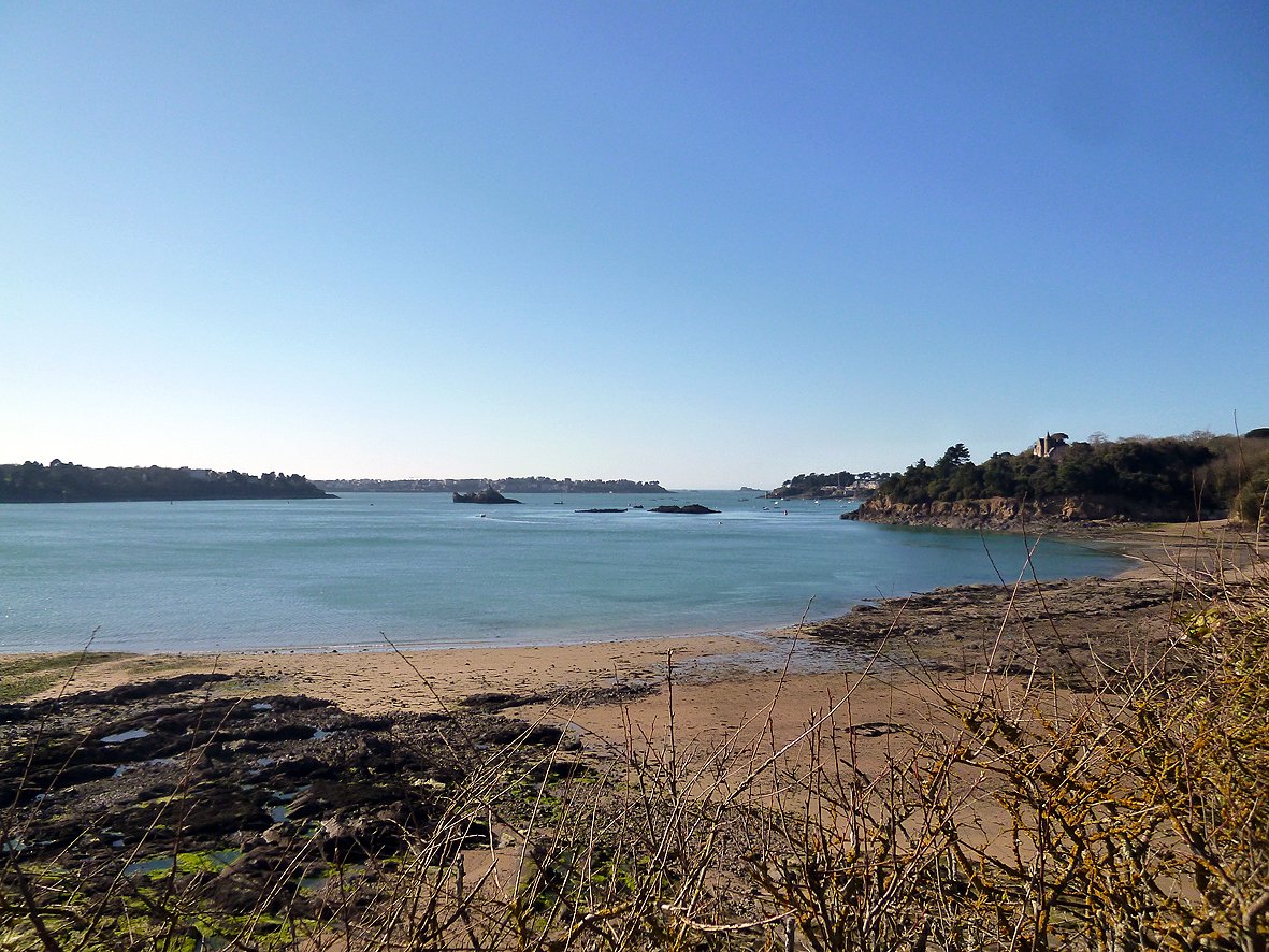P1090326.jpg