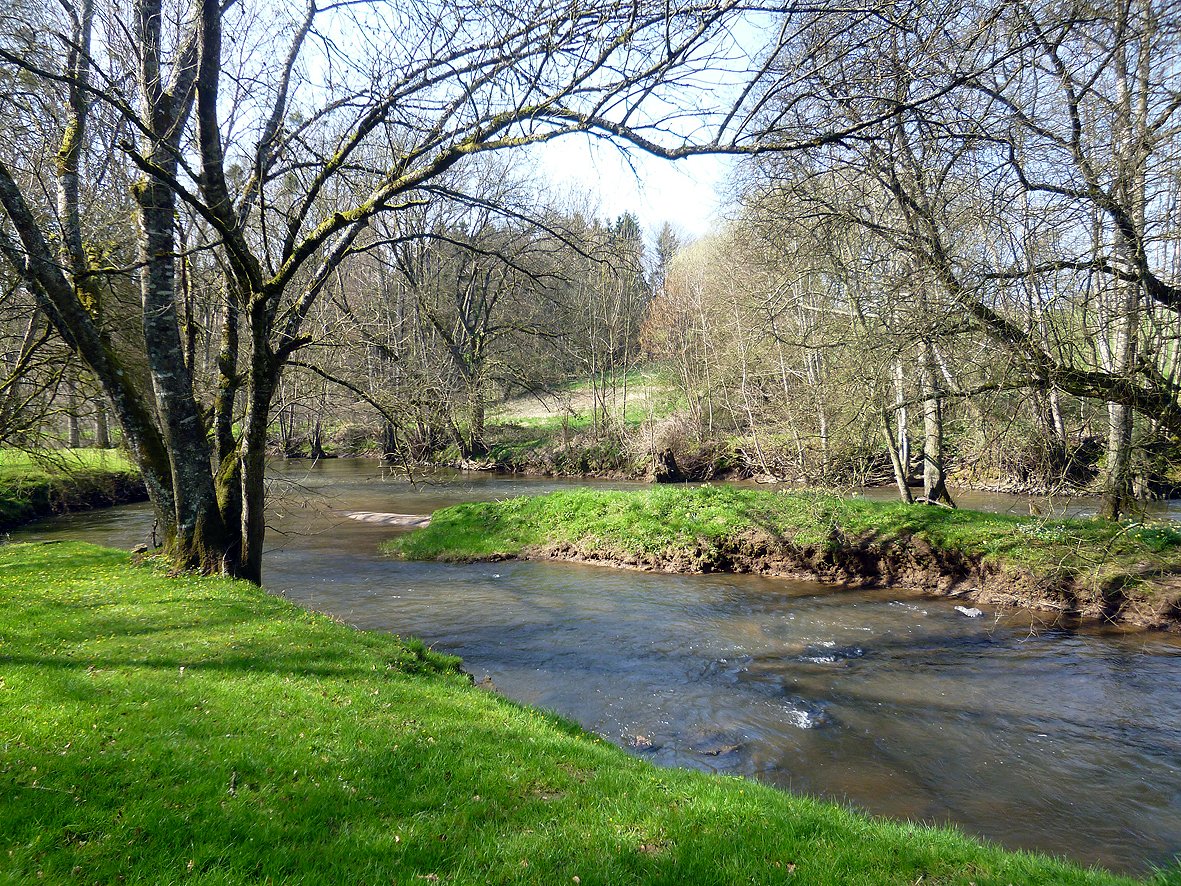 P1090348.jpg