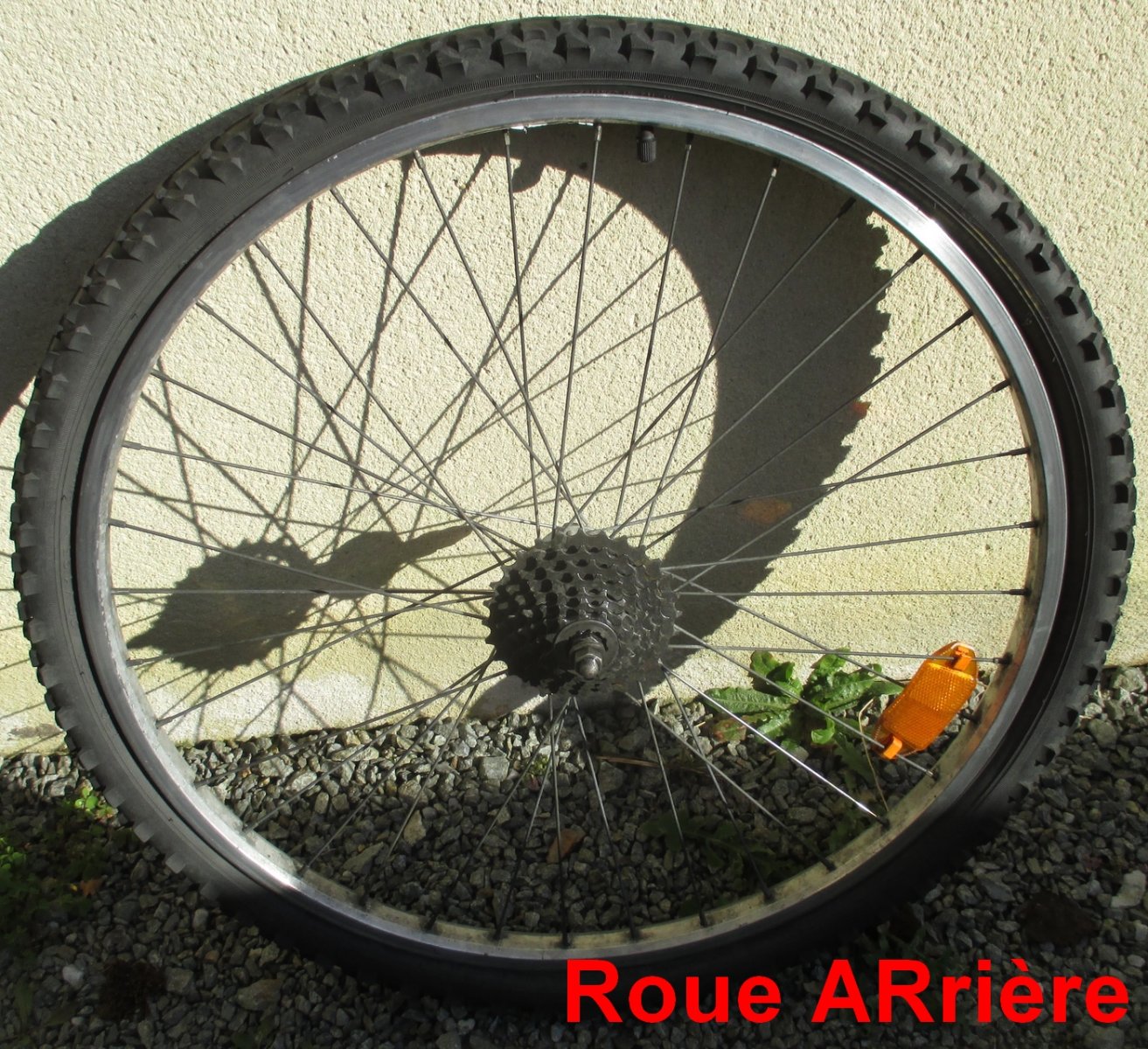 Roue_AR_IMG_6010_R.JPG