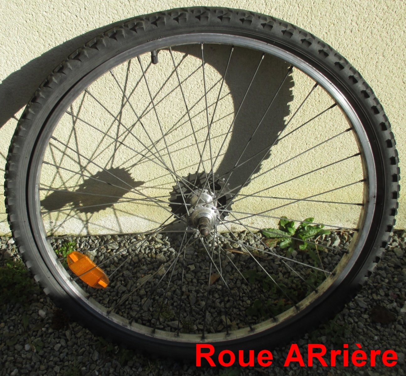 Roue_AR_IMG_6011_R.JPG
