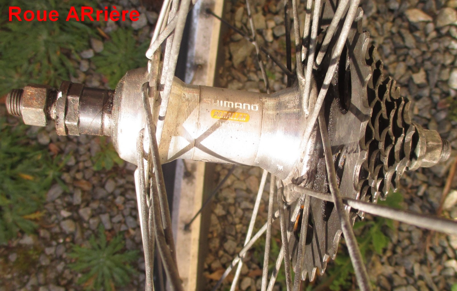 Roue_AR_IMG_6012_R.JPG