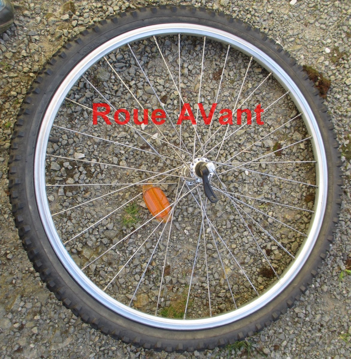 Roue_AV_IMG_6009_R.JPG