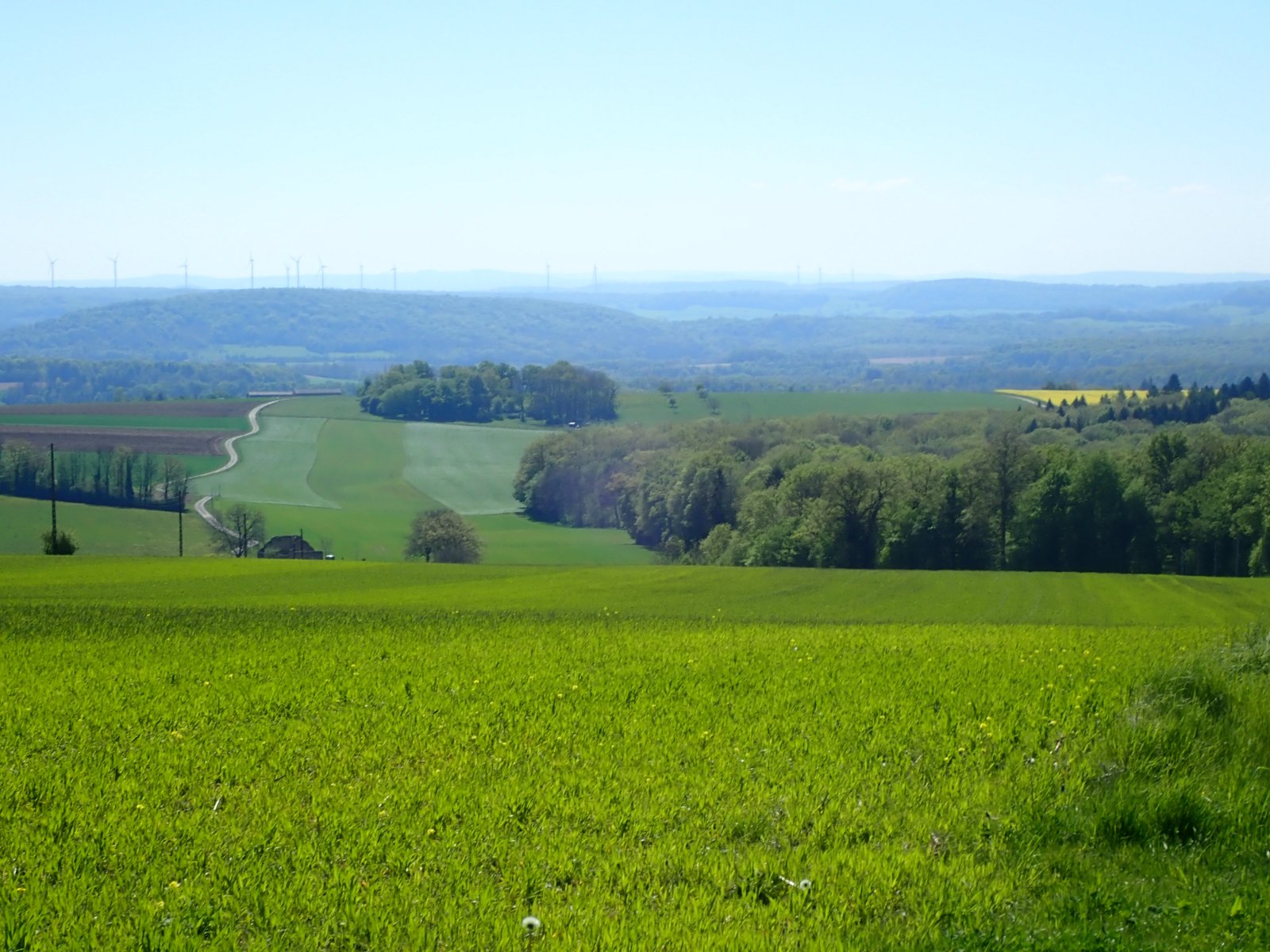 depuis Maison du Vau.jpg