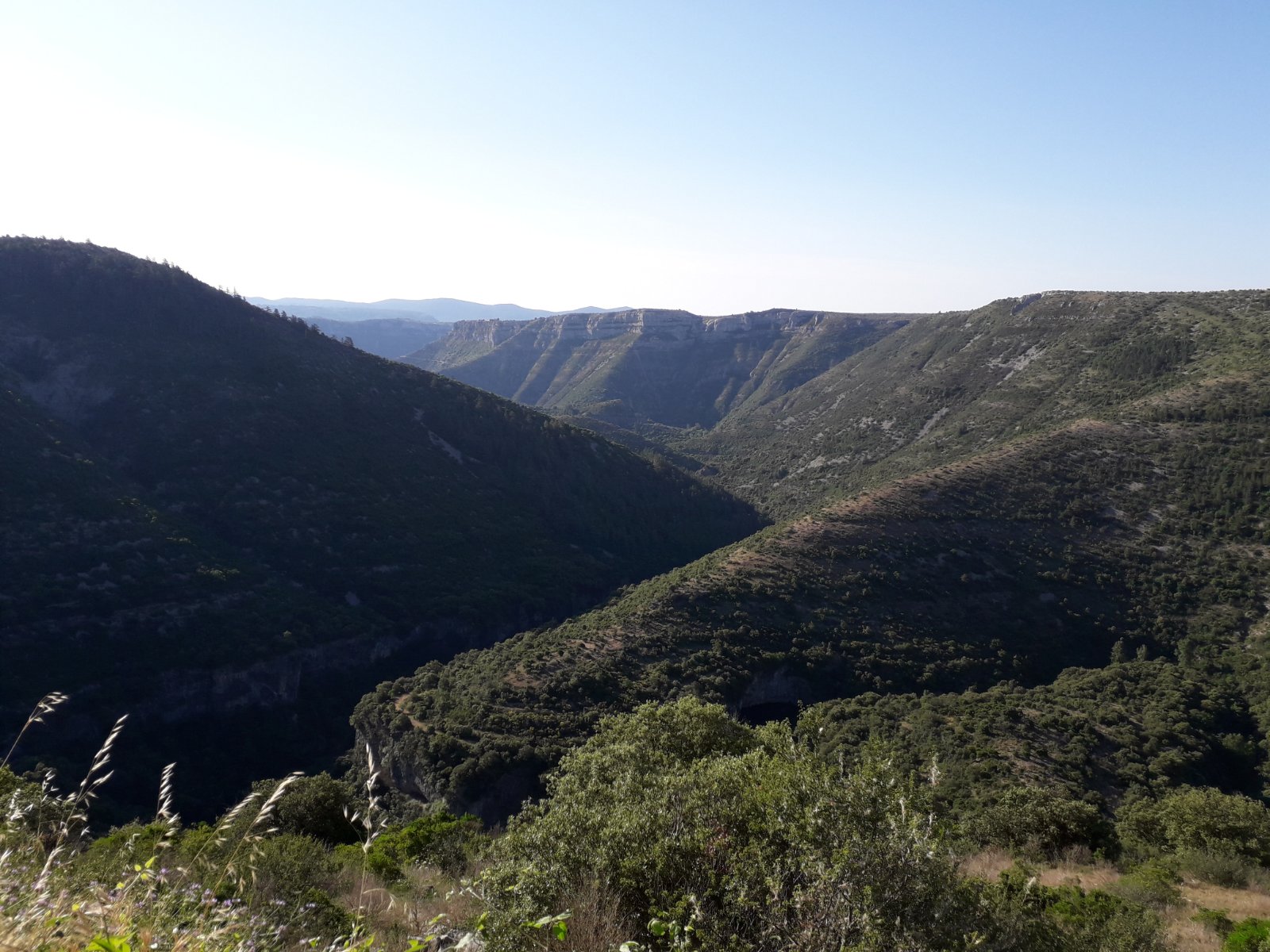 Les gorges de la Vis juste en amont du cirque de Navacelle.