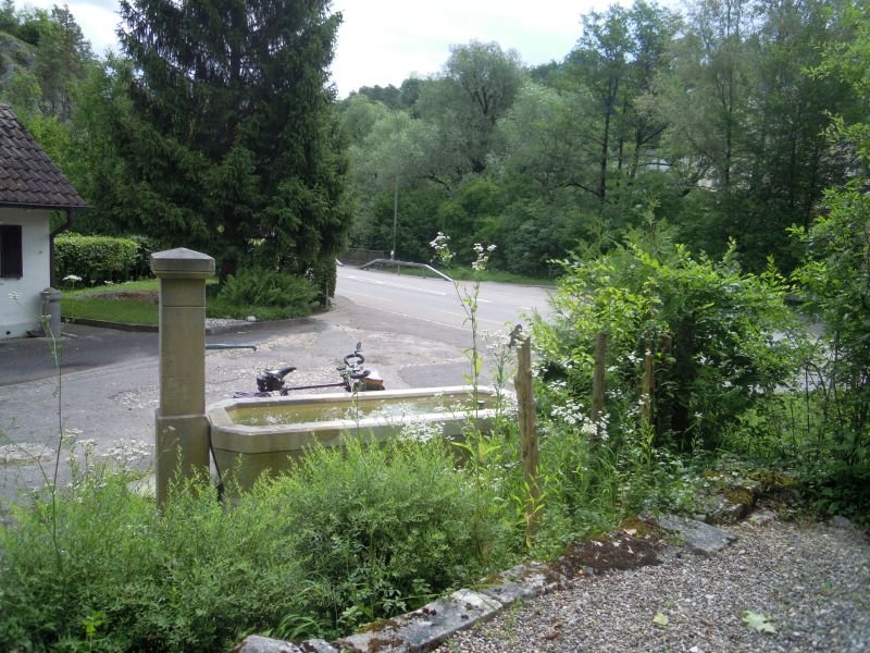 DSCN1533.JPG
