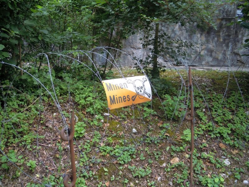 DSCN1539.JPG