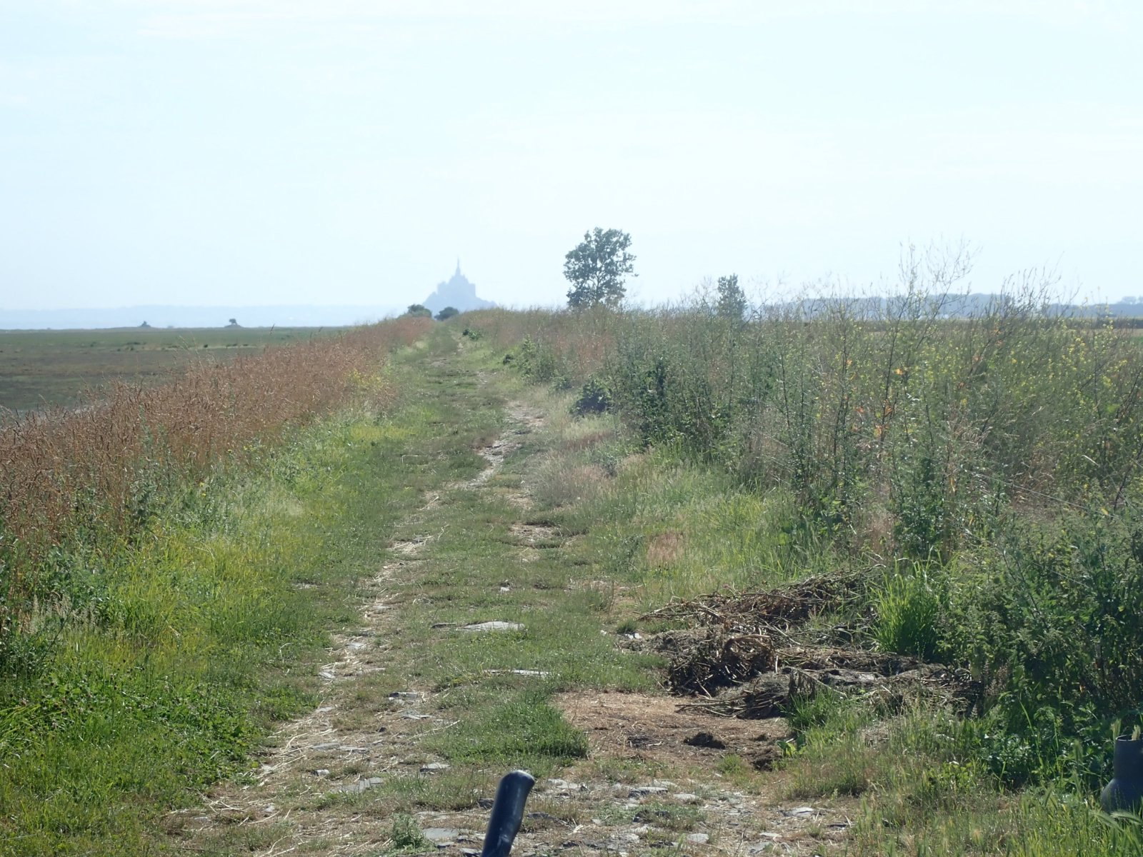 sur le polder.jpg