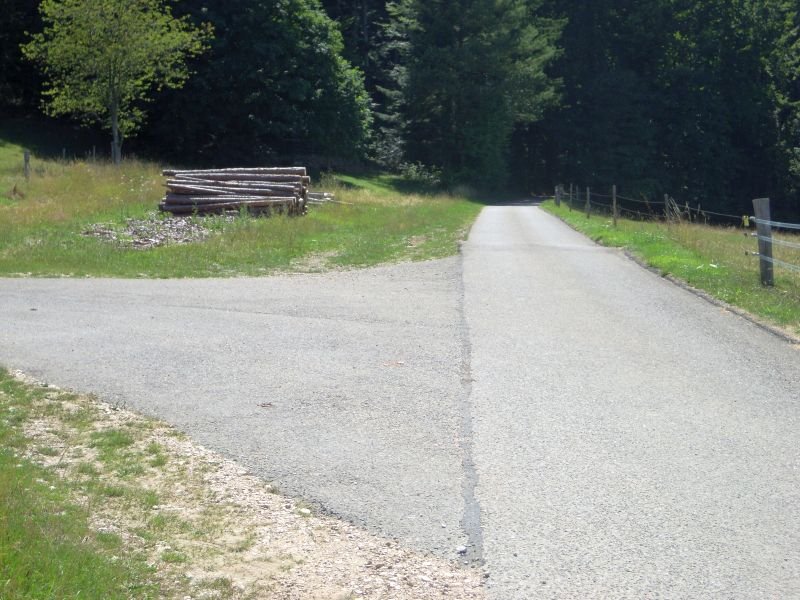 Courage ! la forêt et l'ombre ne sont pas loin