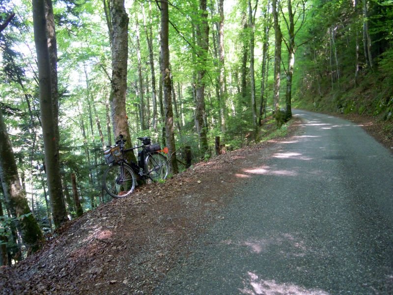 DSCN1551.JPG