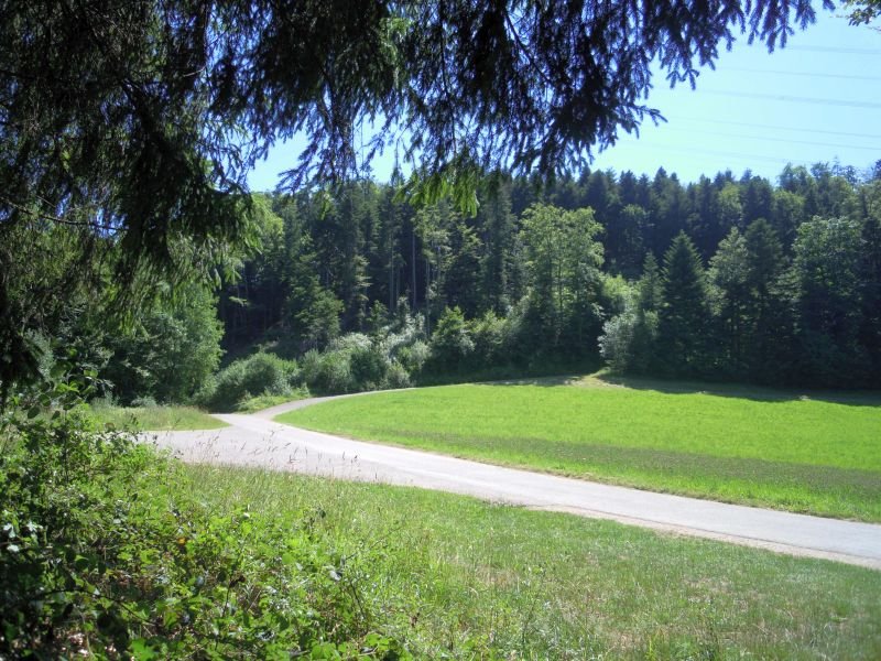 Au sommet, pas de vue grandiose, mais...