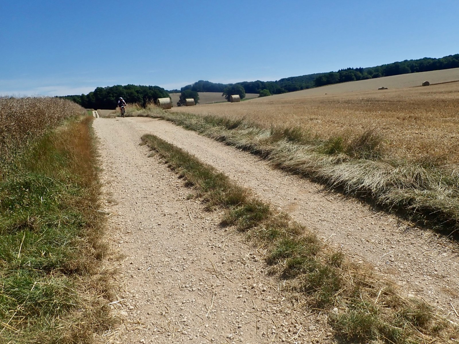 chemin blanc.jpg