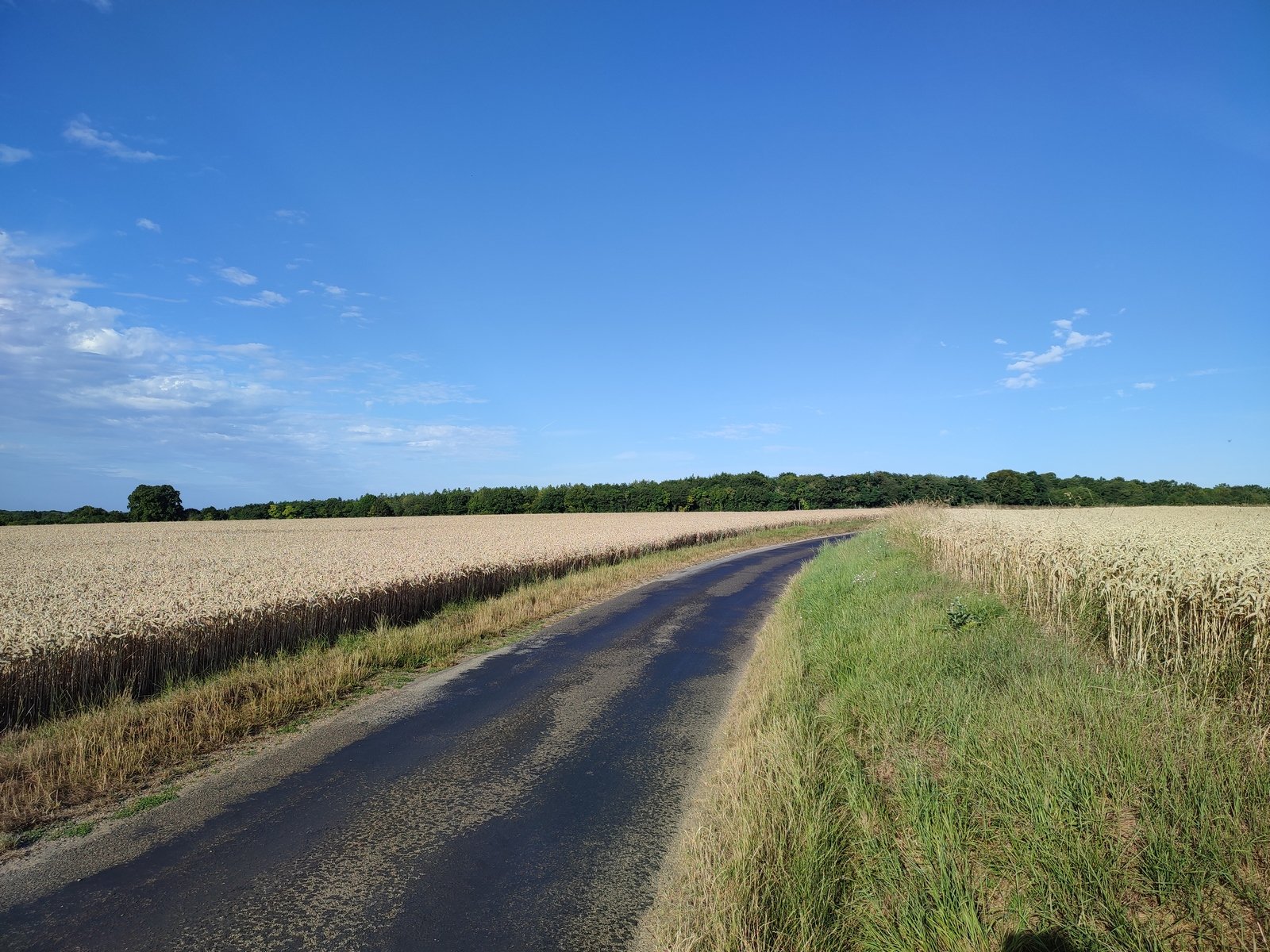 Petite route goudronnée au milieu des champs dans les Yvelines