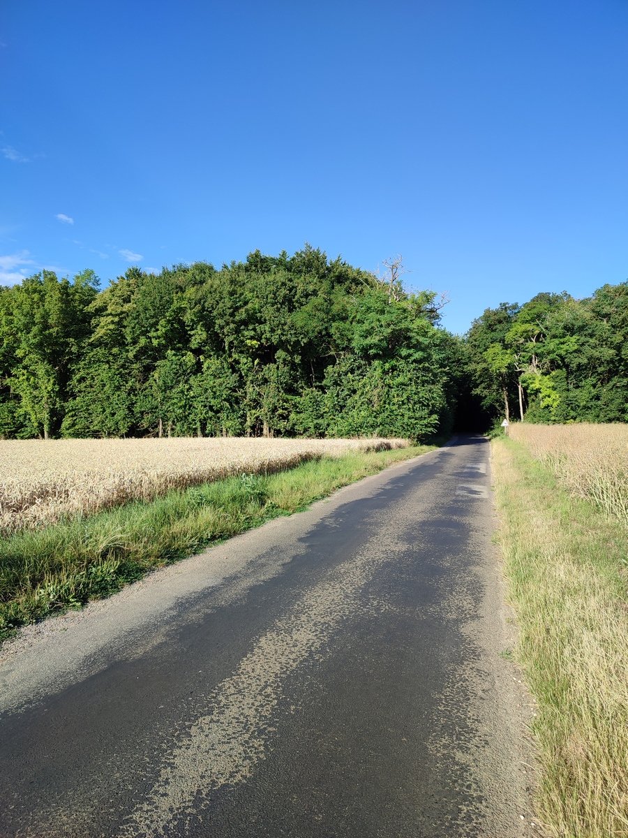 L'entrée du Royaume des Elfes des bois.