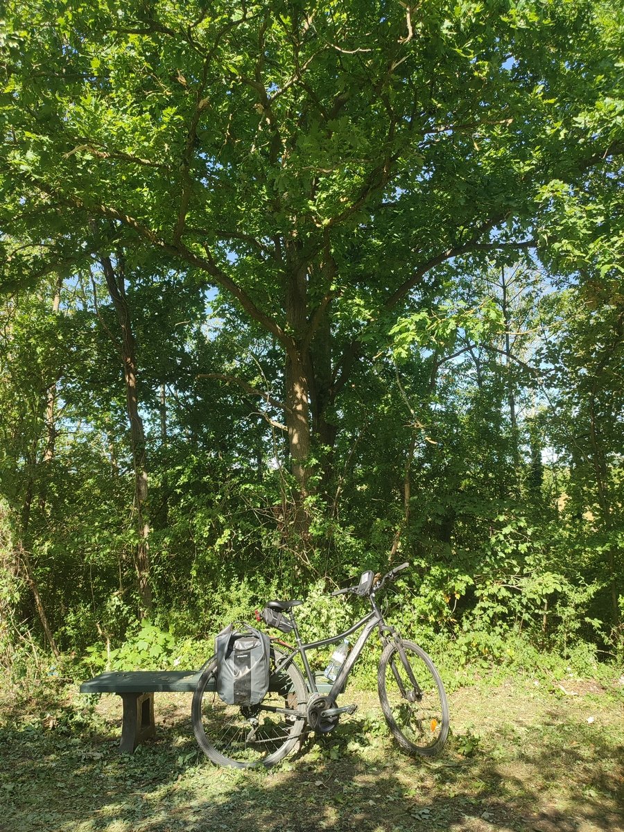 Pause à l'ombre.