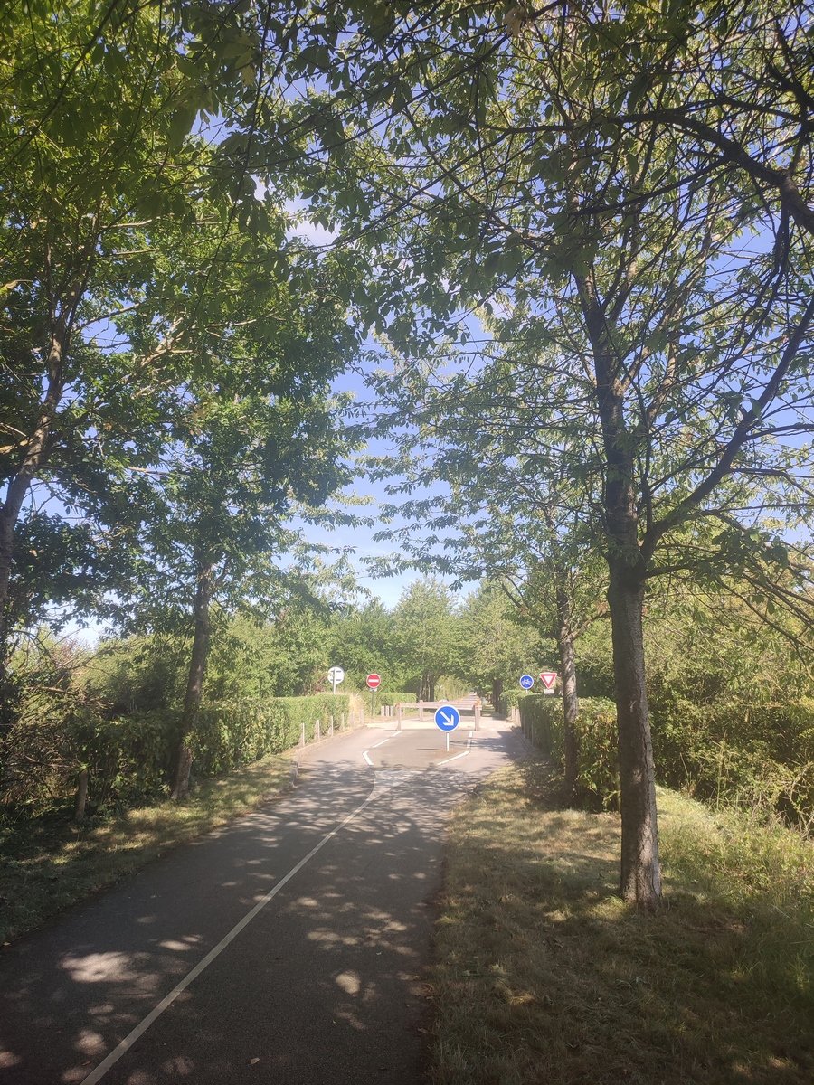 Intersection de la voie verte avec une petite route.
