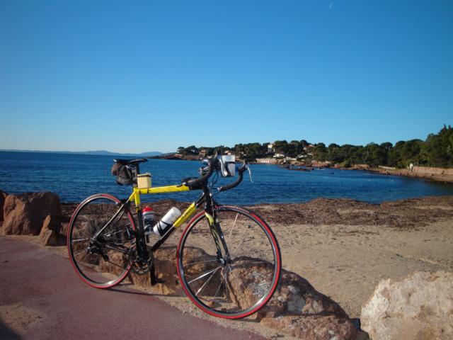 DSC05785.JPG