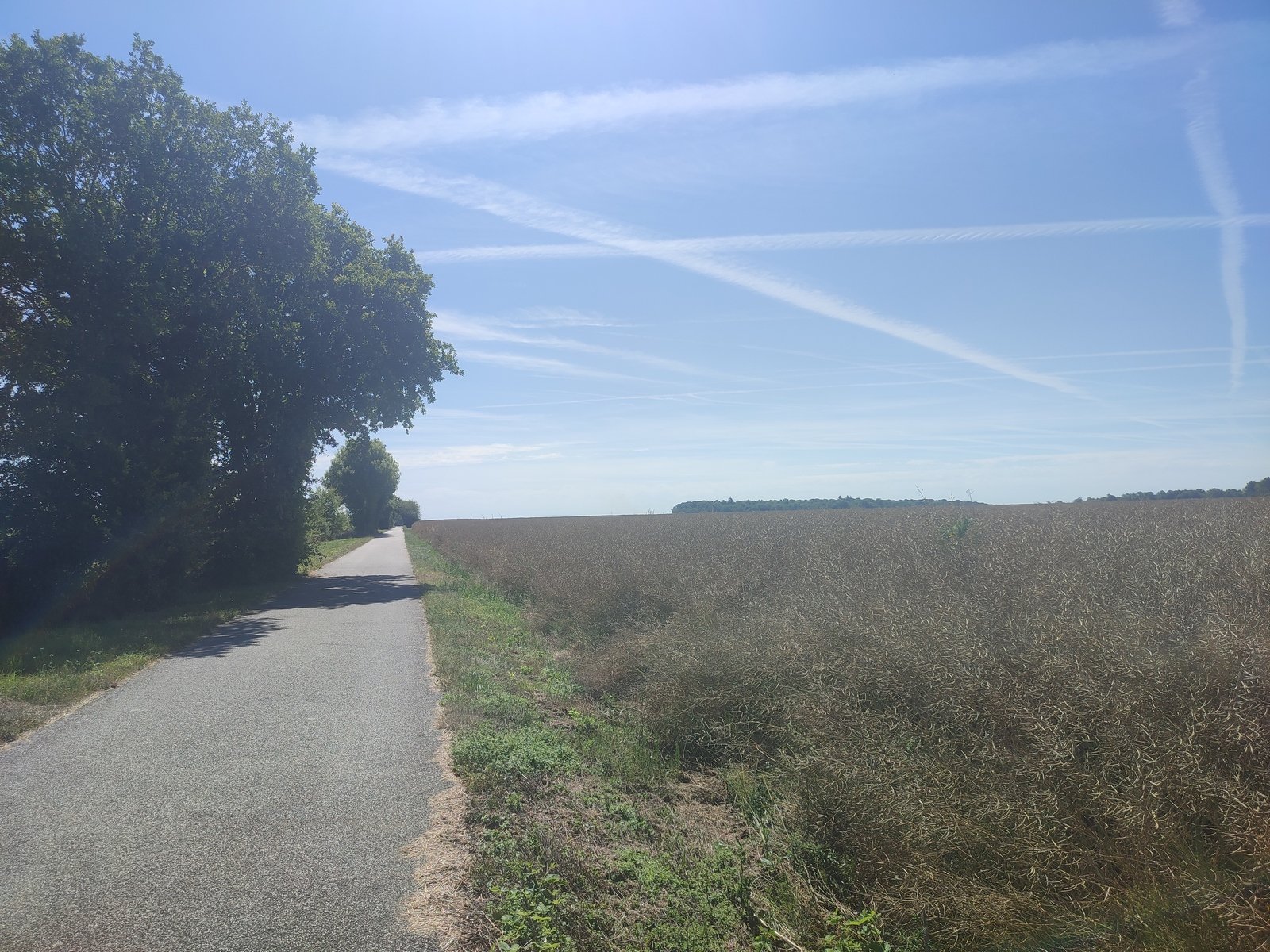 Le soleil cogne pas mal.