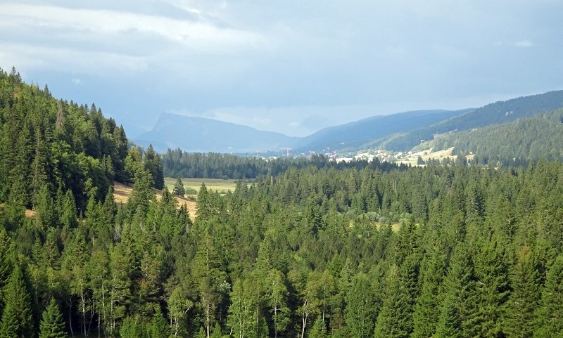 Bois d'Amont