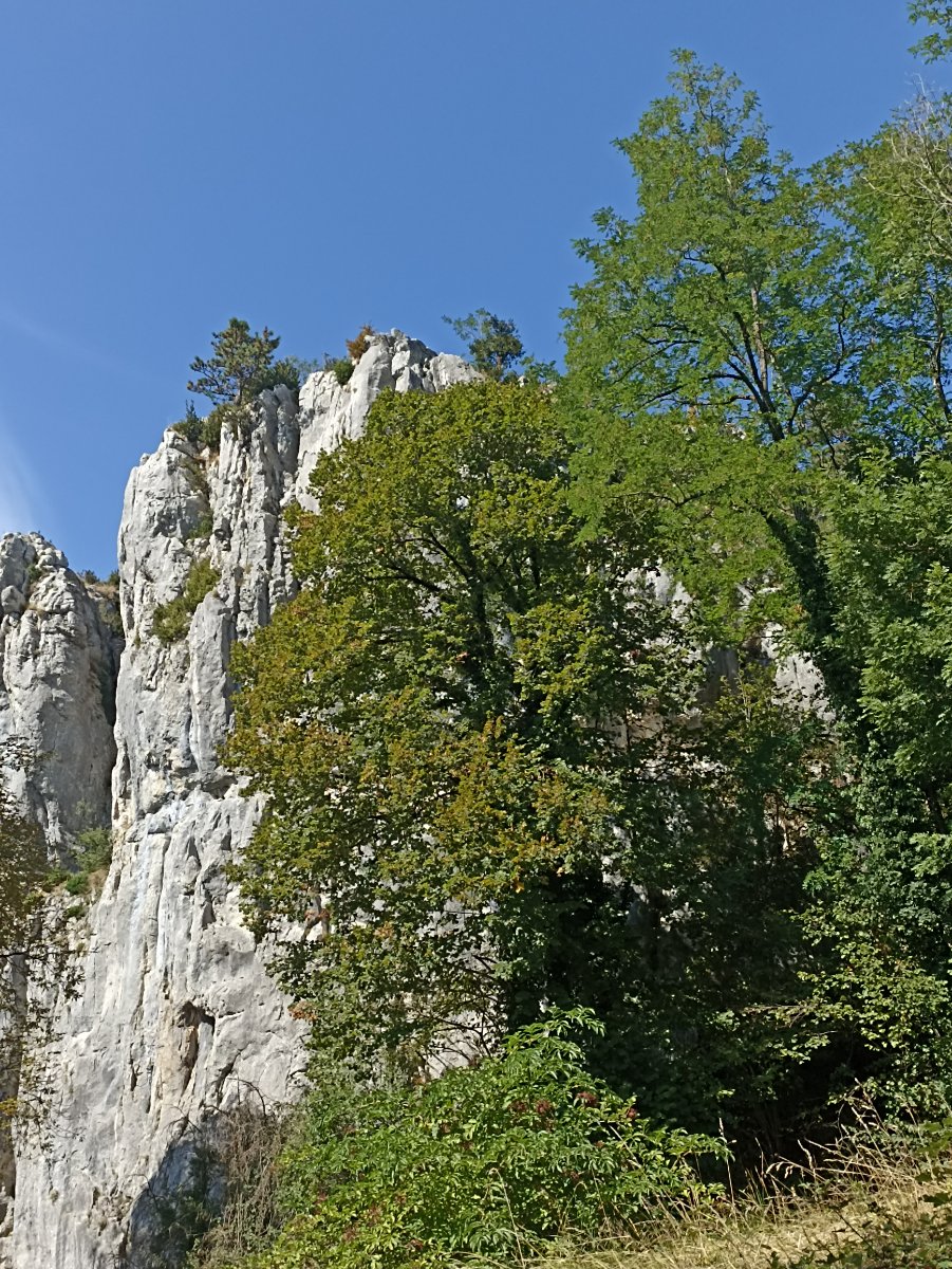 haut de poligny.jpg