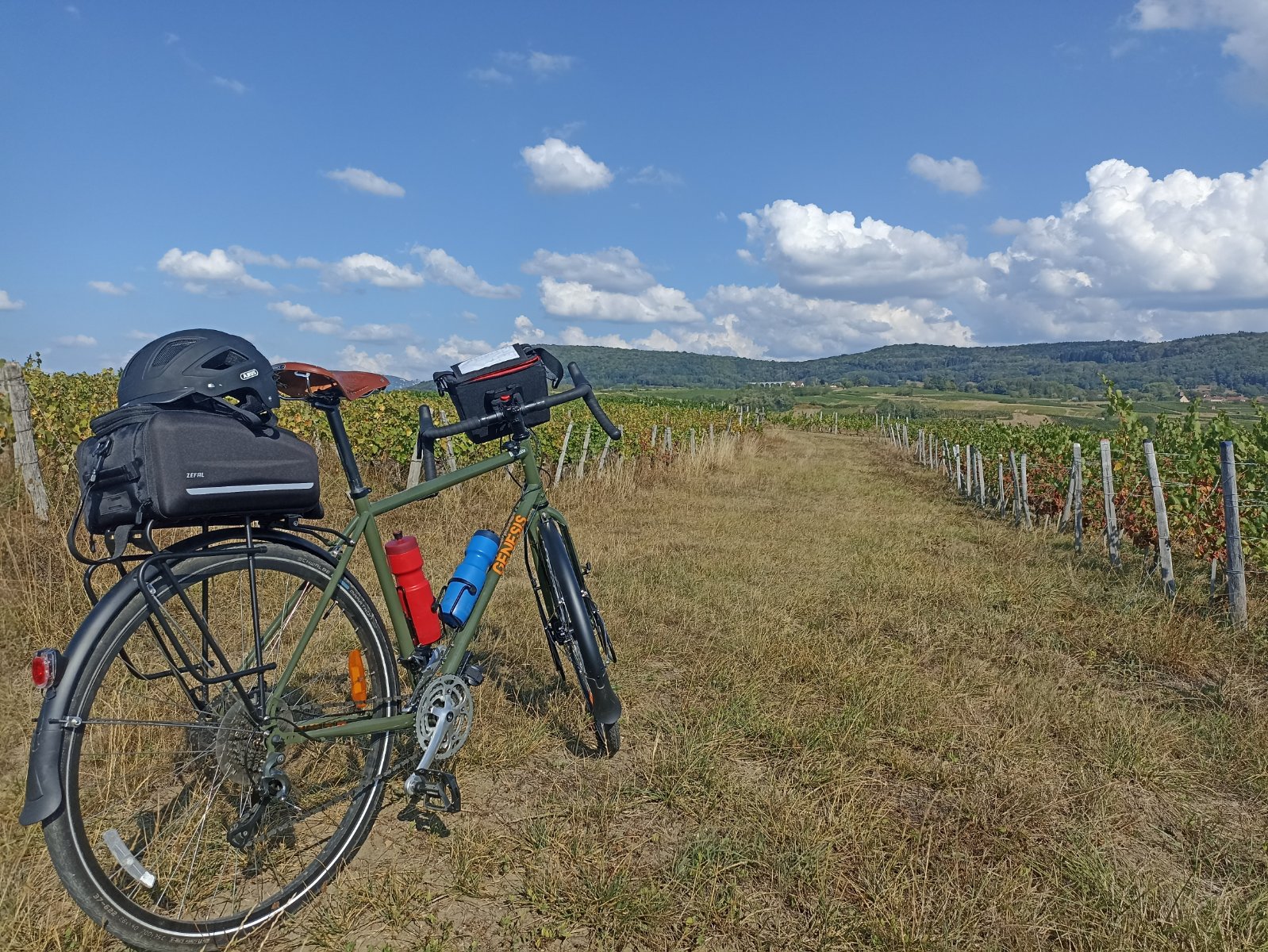 velo.jpg