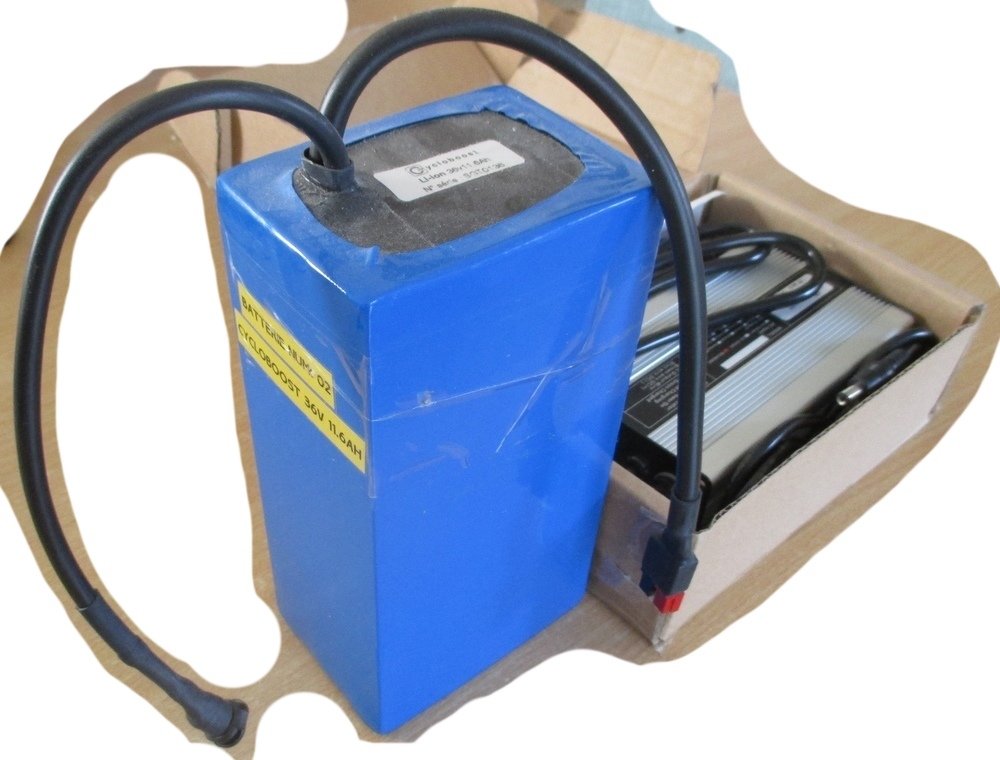 Chargeur &amp; Batterie 11.6AH