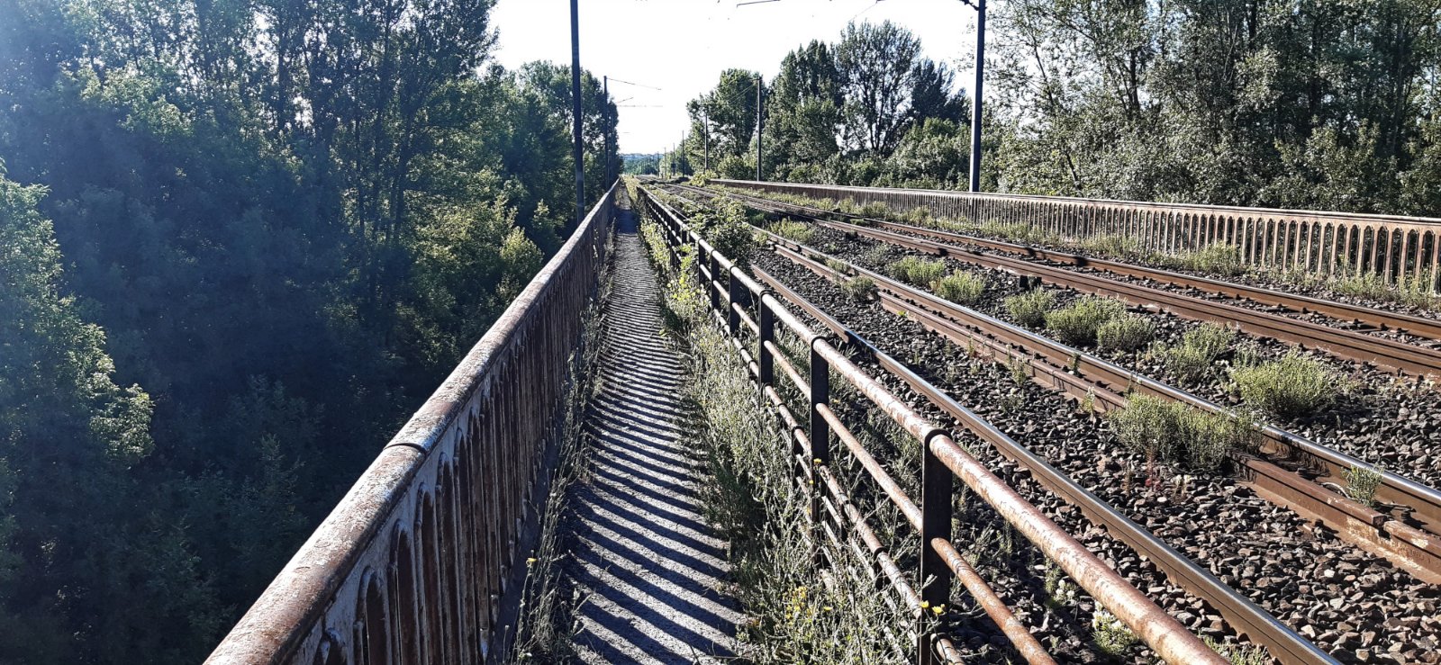 Après Langeais, l'appli Openrunner me fait traverser la Loire sur un pont de chemin de fer. Le sentier est étroit et la descente sera rude !