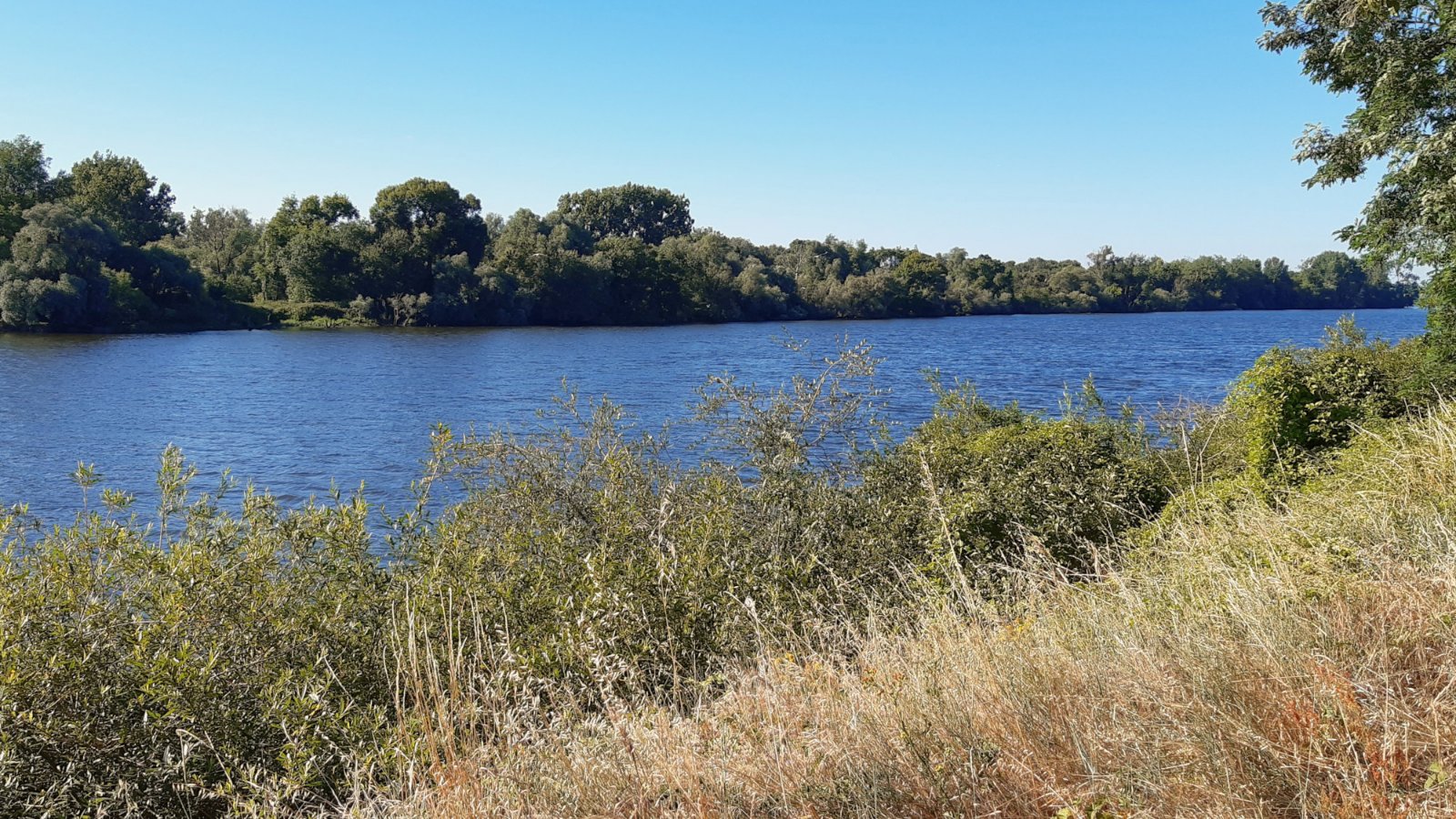 Une première vue de la Loire après Thouaré