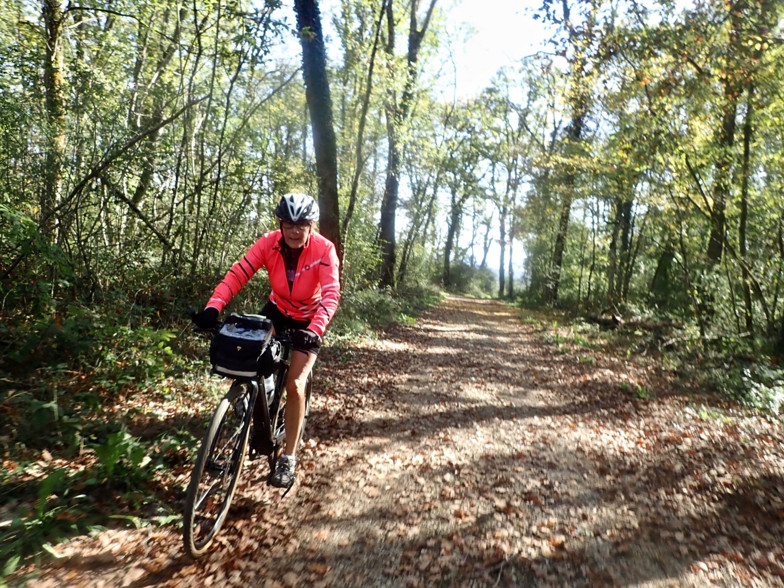 les bois de Sainte-Anne.jpg