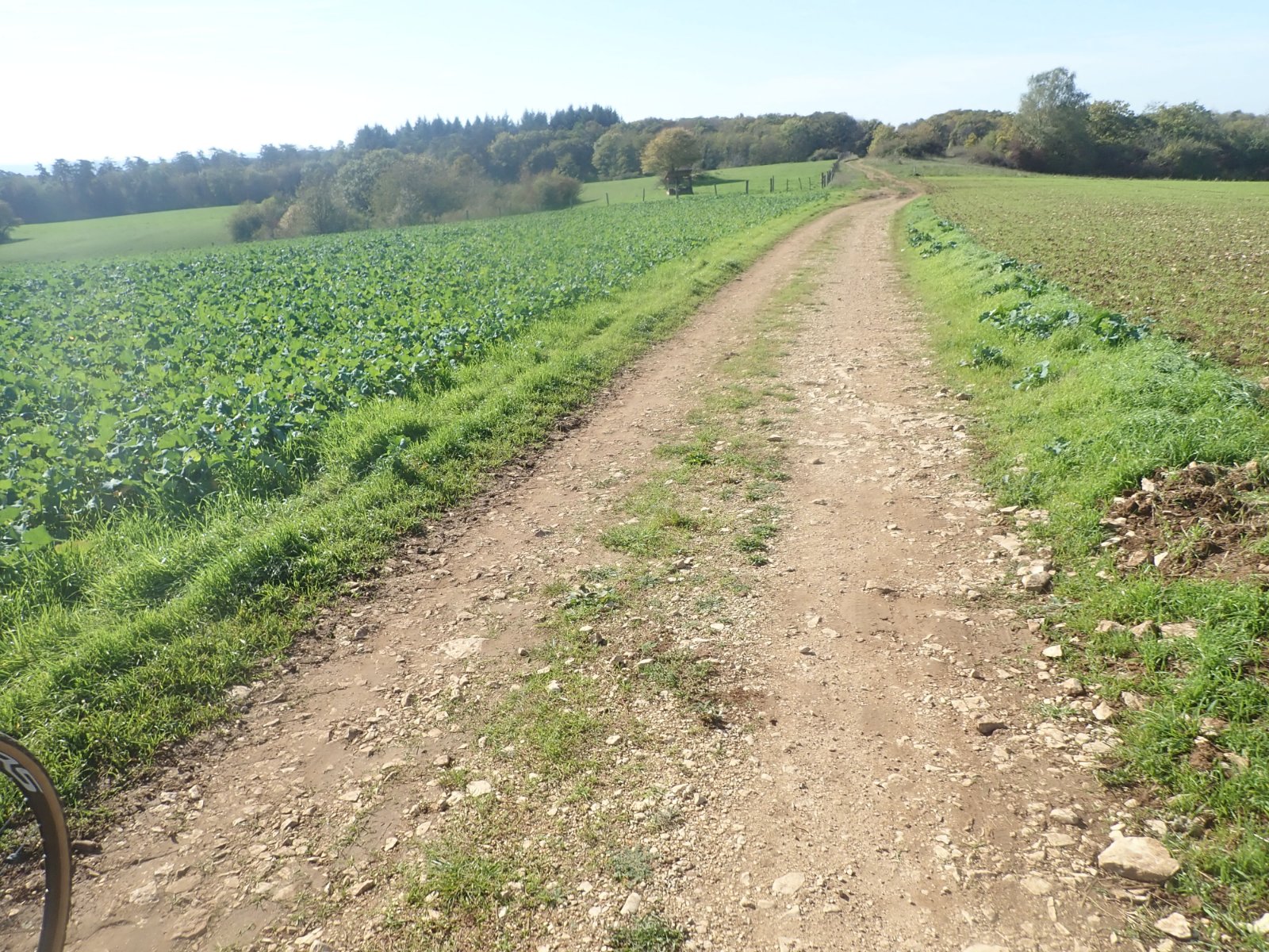 le chemin vers Sainte-Anne.jpg