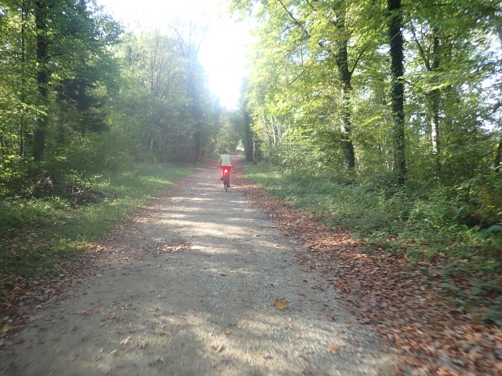 chemin vers Buthiers.jpg