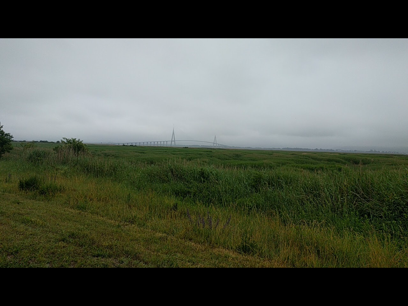 22E29051-0E0F-417D-947B-E5776604ECF5.png