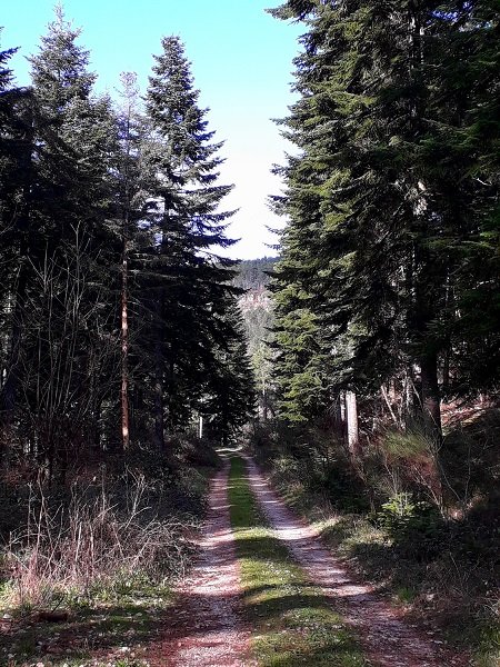 L'amorce  de la deuxième partie de la piste. Je n'ai pas été au bout par manque de temps