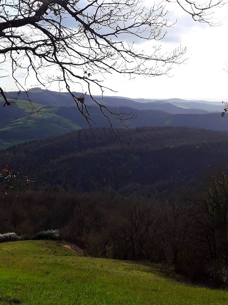 La piste qui m'a hissé jusque là dessert le massif forestier que l'on voit au centre de l'image.