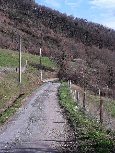 La petite route qui va me permettre de retrouver la vallée.