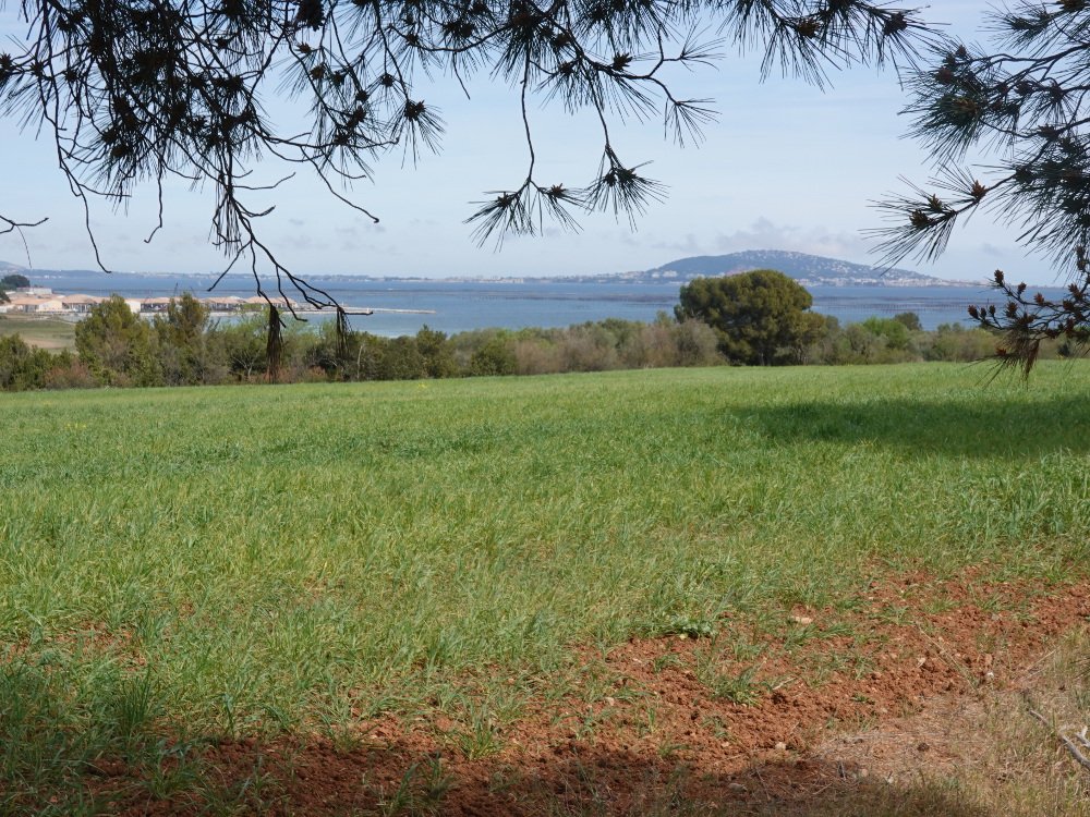 vue sur le Mont -Saint-Clair.