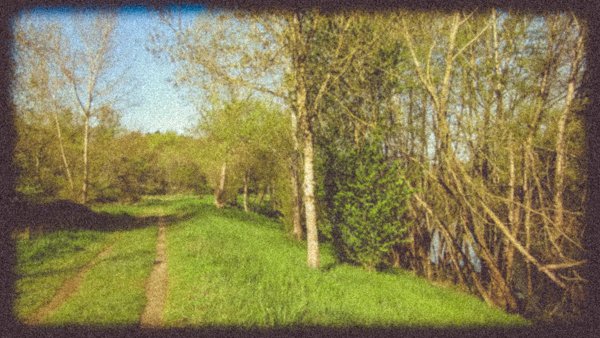 Le long du Cher ou d'un affluant