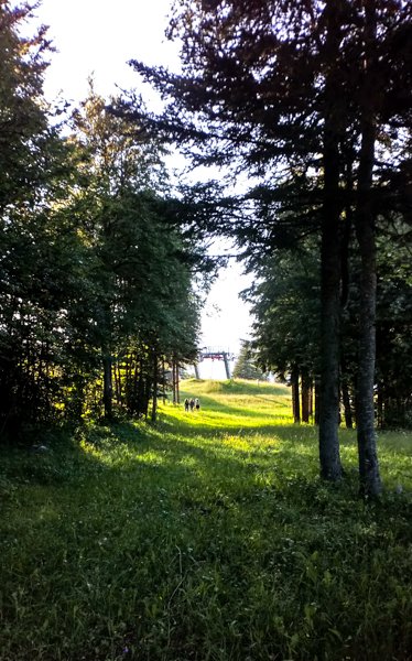 05-bivouac.jpg