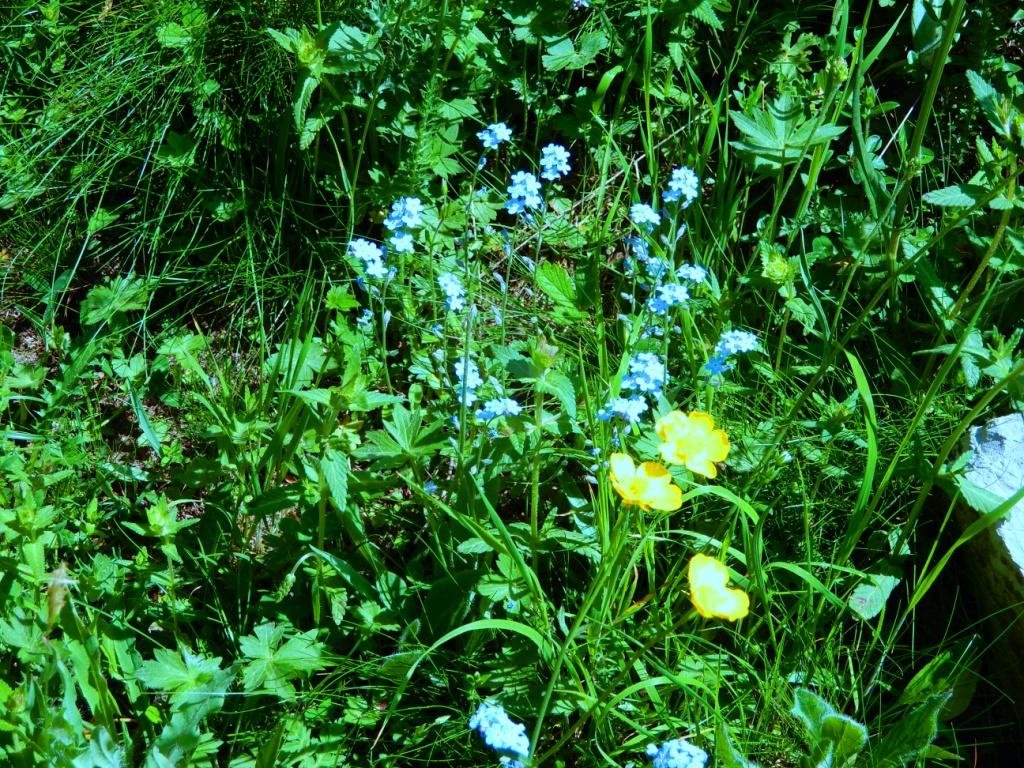 DSCN3504.JPG