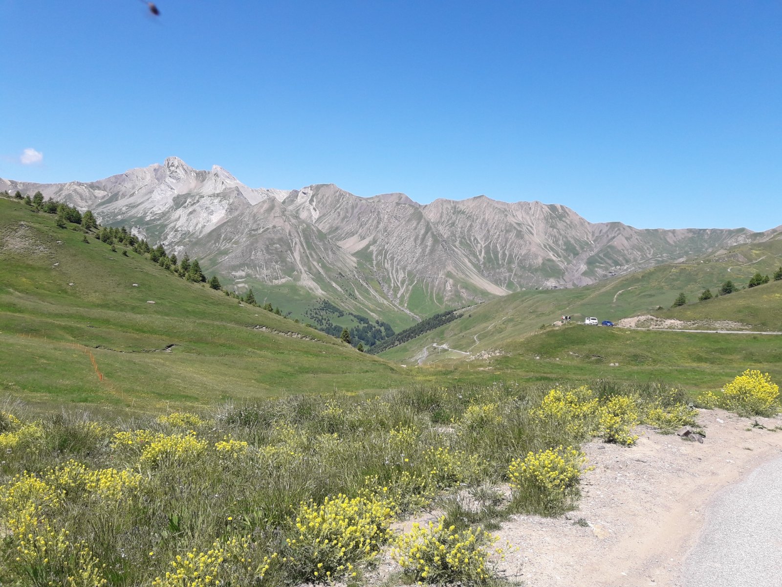 20230704_121630_resized_1.jpg