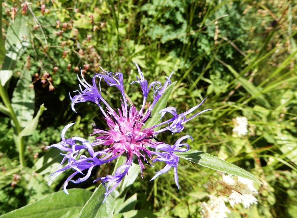 DSCN3533.JPG