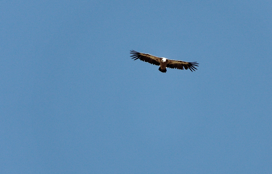 CYC03239_DxO.jpg