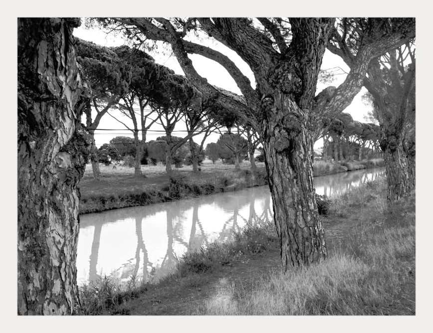 Canal_NB.JPG