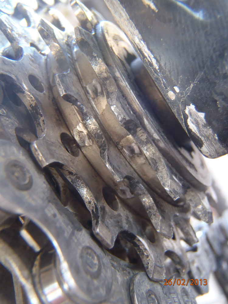P2260169_chaine_pignons.jpg