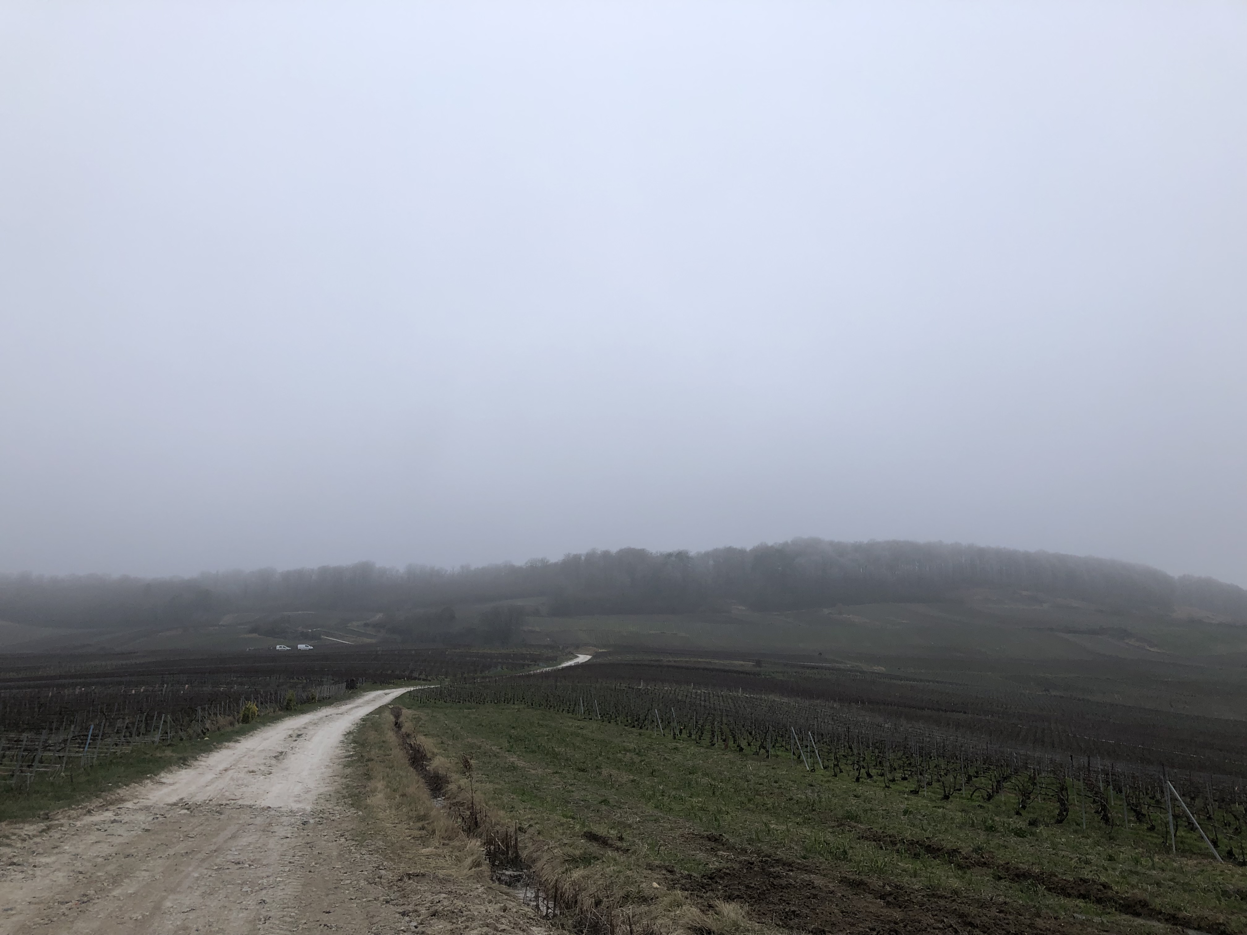 13AB83AE-9C9A-4EBD-A093-AA9461E1E580.jpeg