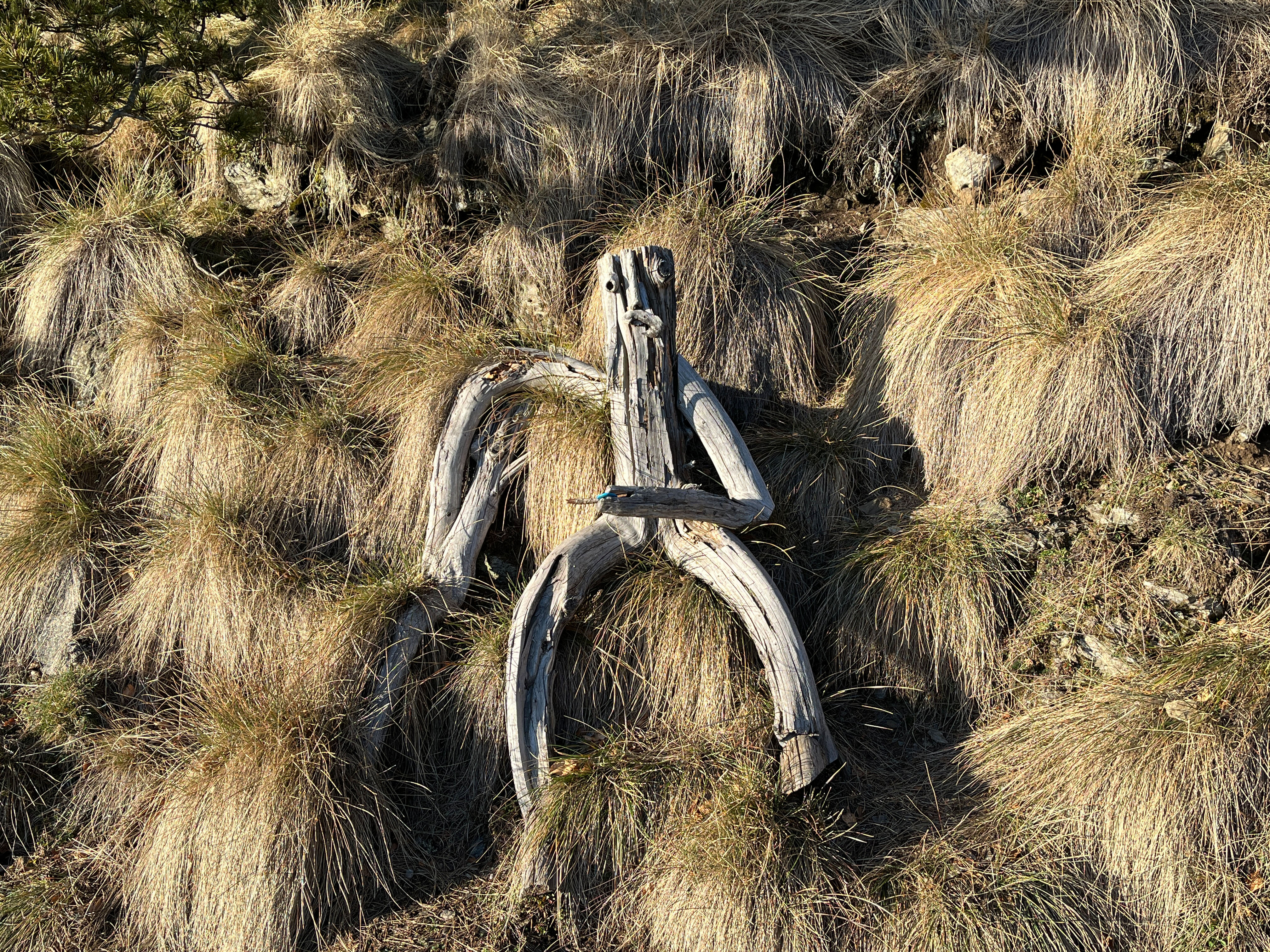 IMG_8269 b.jpg