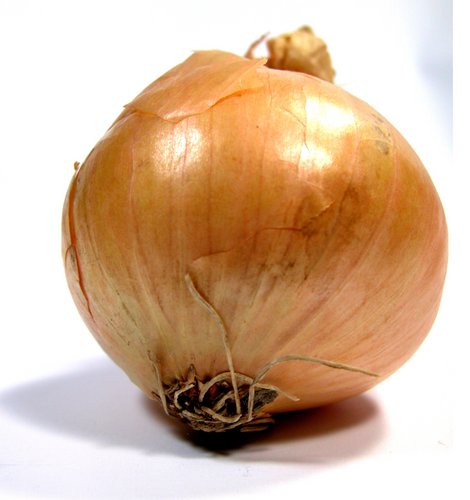 oignon.jpg